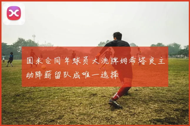国米合同年球员大洗牌姆希塔良主动降薪留队成唯一选择